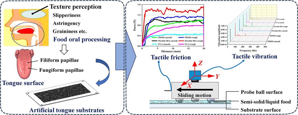Application of biomimetic tongue substrate to investigate the role of friction and vibration in sensory texture perception