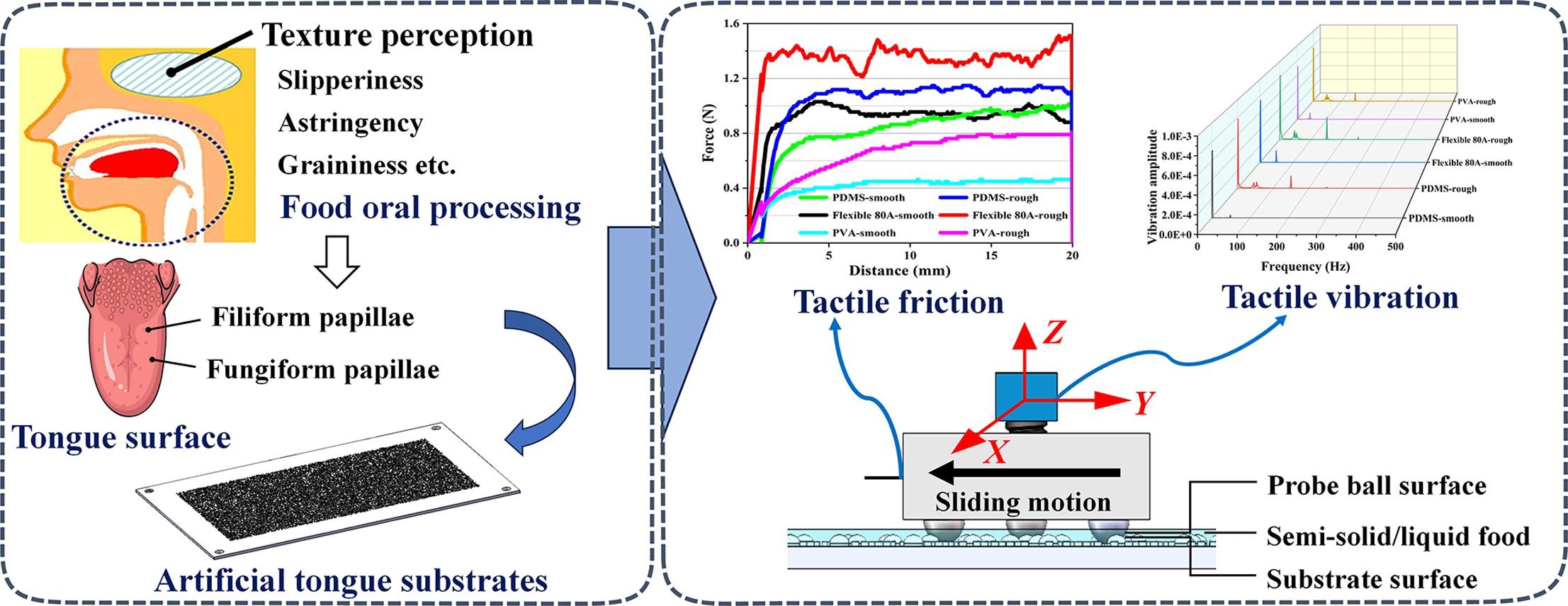 Application of biomimetic tongue substrate to investigate the role of friction and vibration in sensory texture perception