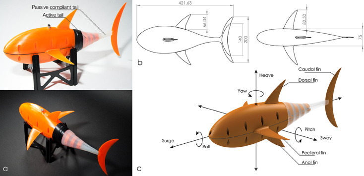 OpenFish: Biomimetic design of a soft robotic fish for high speed locomotion