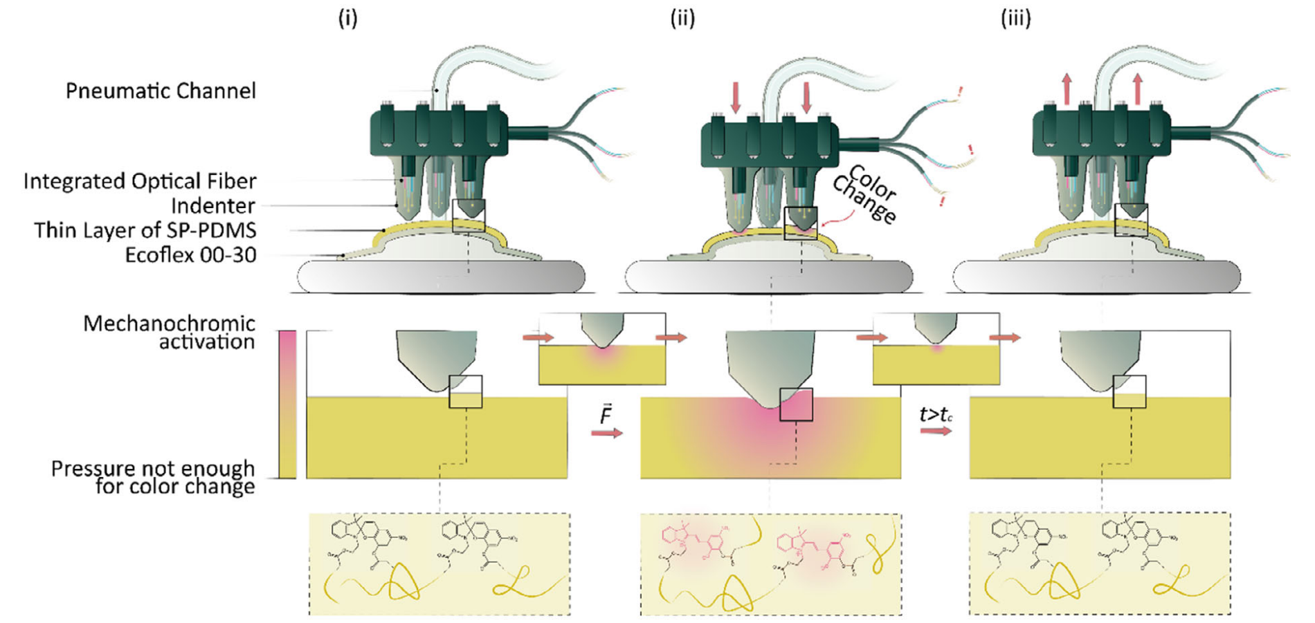 Mechanochromic suction cups for local stress detection in soft robotics