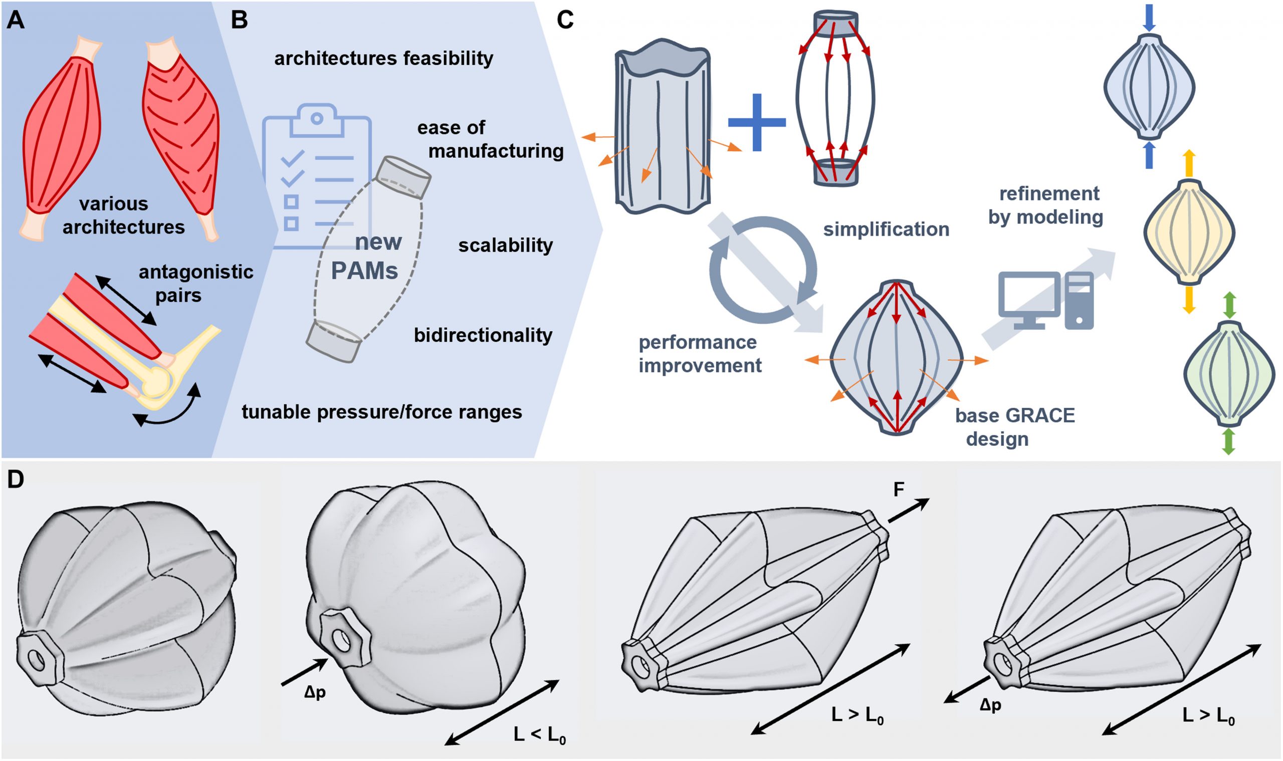 3D-printed biomimetic artificial muscles using soft actuators that contract and elongate